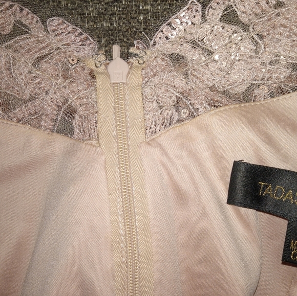 BHLDN Tadashi Shoji "Yvonne" Sequin Lace Overlay Dress Size 8 - Picture 9 of 11